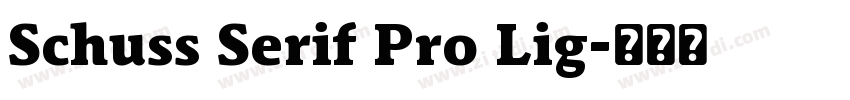 Schuss Serif Pro Lig字体转换